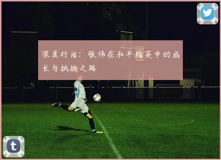 深度对话：张伟在和平精英中的成长与挑战之路