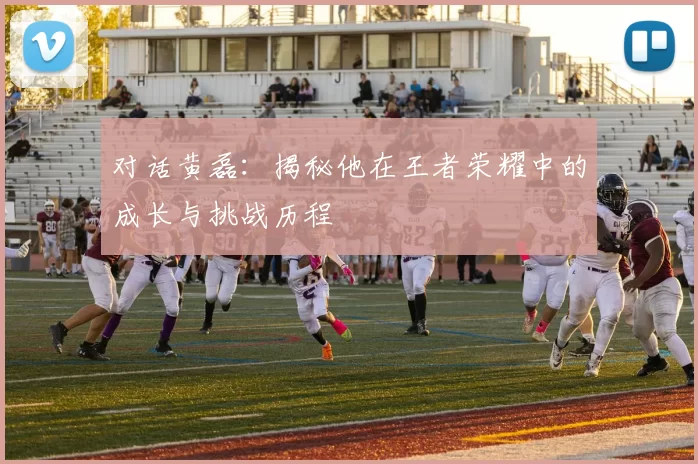 对话黄磊：揭秘他在王者荣耀中的成长与挑战历程