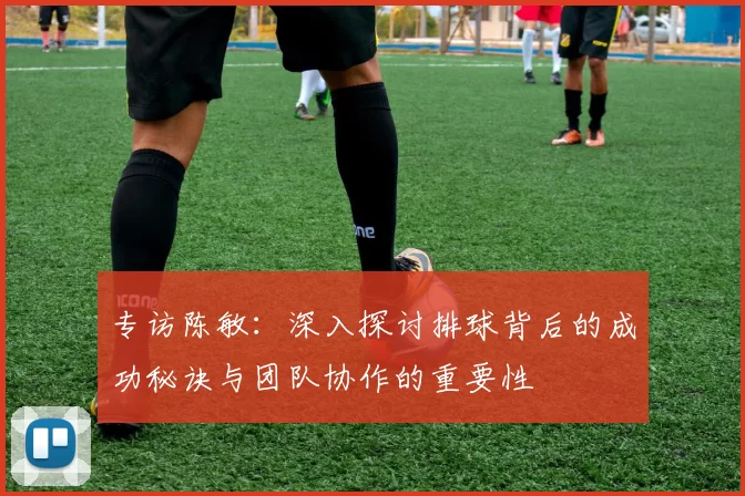 专访陈敏：深入探讨排球背后的成功秘诀与团队协作的重要性