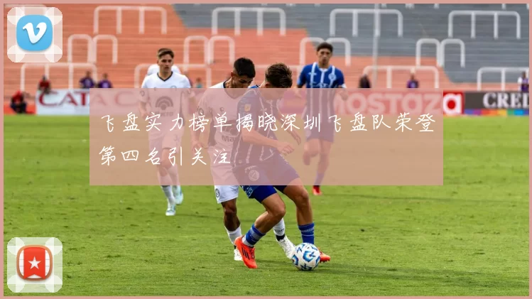 飞盘实力榜单揭晓深圳飞盘队荣登第四名引关注