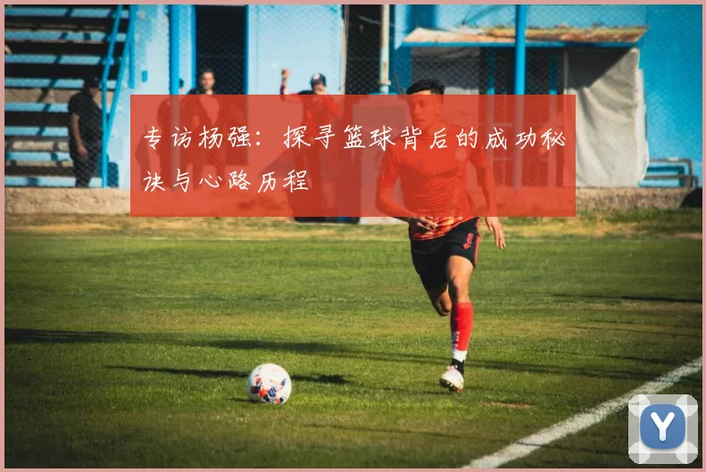 专访杨强：探寻篮球背后的成功秘诀与心路历程
