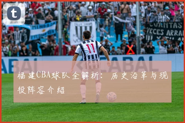 福建CBA球队全解析：历史沿革与现役阵容介绍