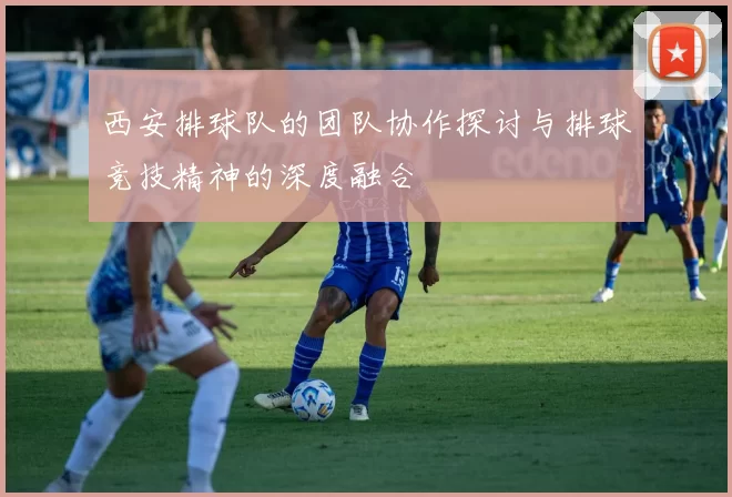 西安排球队的团队协作探讨与排球竞技精神的深度融合