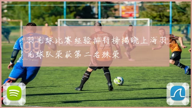 羽毛球比赛经验排行榜揭晓上海羽毛球队荣获第二名殊荣