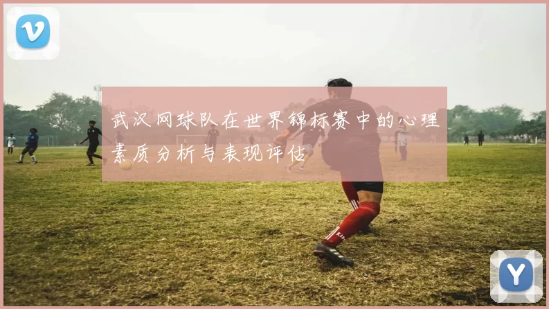 武汉网球队在世界锦标赛中的心理素质分析与表现评估