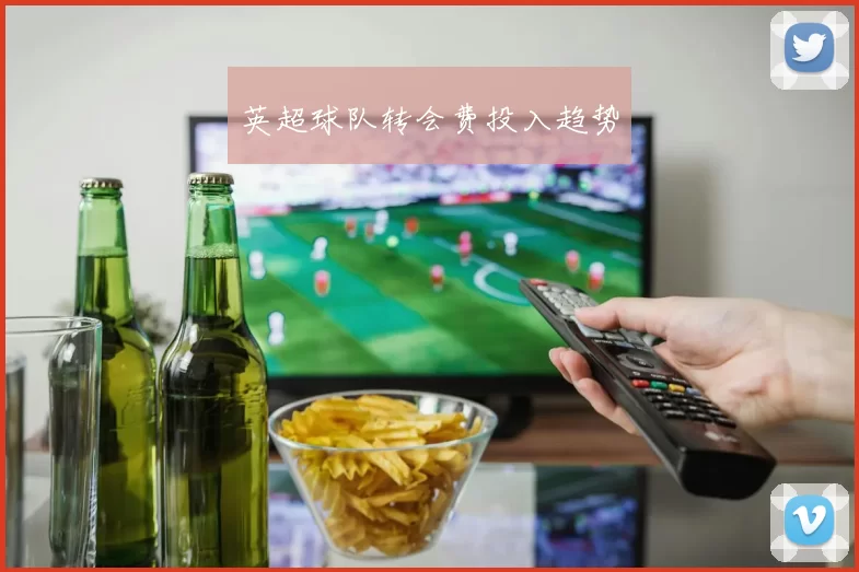英超球队转会费投入趋势