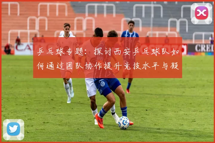 乒乓球专题：探讨西安乒乓球队如何通过团队协作提升竞技水平与凝聚力